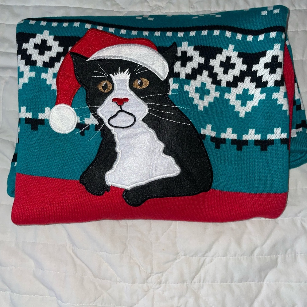 Holiday 🐈‍⬛  Sweater in Teal and Red